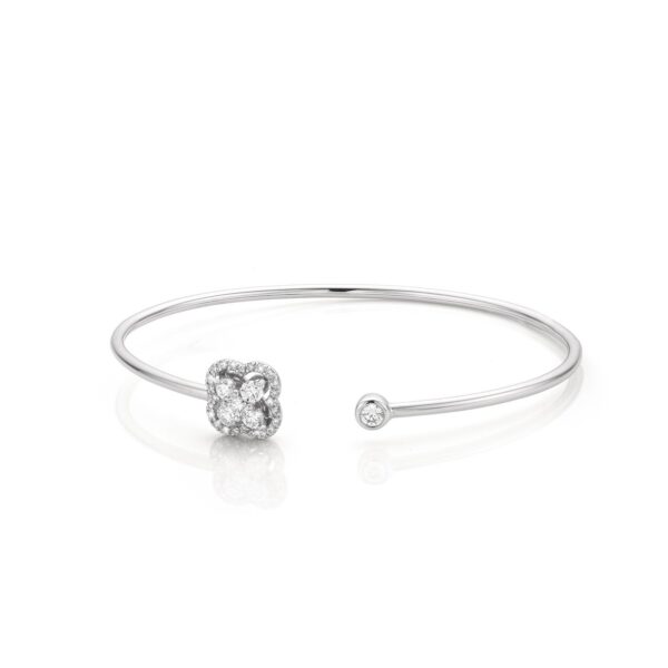 Lucky Clover Esclave